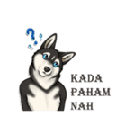 The Booking Animal (Banjar)（個別スタンプ：13）