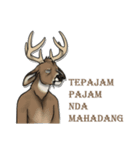 The Booking Animal (Banjar)（個別スタンプ：24）