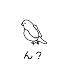 白インコさんの毎日（個別スタンプ：3）