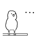 白インコさんの毎日（個別スタンプ：6）