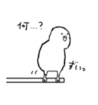 白インコさんの毎日（個別スタンプ：7）