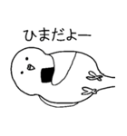 白インコさんの毎日（個別スタンプ：11）