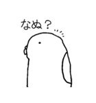 白インコさんの毎日（個別スタンプ：13）