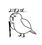 白インコさんの毎日（個別スタンプ：15）