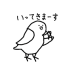 白インコさんの毎日（個別スタンプ：22）