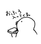 白インコさんの毎日（個別スタンプ：26）