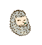 tujuh Hedgehog（個別スタンプ：1）