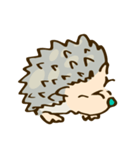 tujuh Hedgehog（個別スタンプ：4）