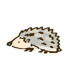 tujuh Hedgehog（個別スタンプ：5）