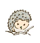 tujuh Hedgehog（個別スタンプ：7）