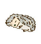 tujuh Hedgehog（個別スタンプ：8）