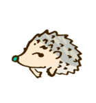 tujuh Hedgehog（個別スタンプ：11）
