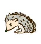 tujuh Hedgehog（個別スタンプ：12）