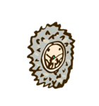 tujuh Hedgehog（個別スタンプ：13）