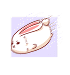 Bubba Rabbit（個別スタンプ：20）