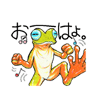 のほほん蛙（個別スタンプ：19）