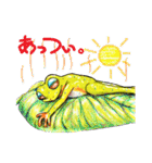 のほほん蛙（個別スタンプ：25）
