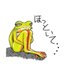 のほほん蛙（個別スタンプ：32）