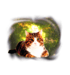 猫写真スタンプ8 ★猫宇宙（個別スタンプ：6）