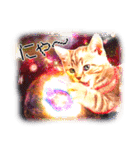 猫写真スタンプ8 ★猫宇宙（個別スタンプ：25）
