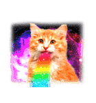 猫写真スタンプ8 ★猫宇宙（個別スタンプ：38）