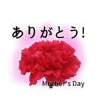 母の日に花を♪Part2 カーネーション（個別スタンプ：2）