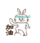 Square face rabbit's life（個別スタンプ：37）