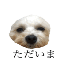 もこの毎日（個別スタンプ：11）