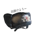 もこの毎日（個別スタンプ：15）