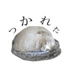 もこの毎日（個別スタンプ：18）