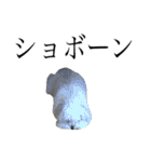 もこの毎日（個別スタンプ：20）