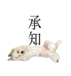 もこの毎日（個別スタンプ：34）