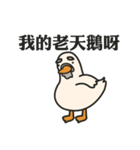 Stupid goose and stupid day（個別スタンプ：29）