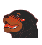 COCO ＆ UNCLE ROTT（個別スタンプ：9）