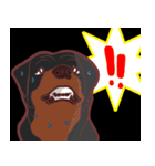 COCO ＆ UNCLE ROTT（個別スタンプ：11）