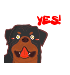 COCO ＆ UNCLE ROTT（個別スタンプ：12）