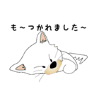カワイイ敬語のワンちゃん。（個別スタンプ：4）