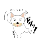 カワイイ敬語のワンちゃん。（個別スタンプ：12）