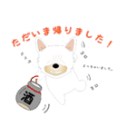 カワイイ敬語のワンちゃん。（個別スタンプ：16）