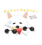 カワイイ敬語のワンちゃん。（個別スタンプ：20）