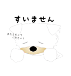 カワイイ敬語のワンちゃん。（個別スタンプ：24）