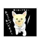 カワイイ敬語のワンちゃん。（個別スタンプ：29）