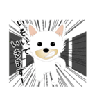 カワイイ敬語のワンちゃん。（個別スタンプ：31）