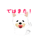 カワイイ敬語のワンちゃん。（個別スタンプ：37）