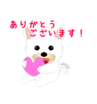 カワイイ敬語のワンちゃん。（個別スタンプ：40）