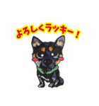 強運犬ラッキー（個別スタンプ：5）