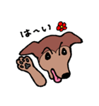 Kuri＆Maron（個別スタンプ：1）