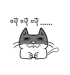 sitting on the ian cat（個別スタンプ：10）