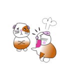 Guinea pig mo-chan ＆ mo-kochanSticker（個別スタンプ：12）