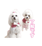 mix犬組（個別スタンプ：7）